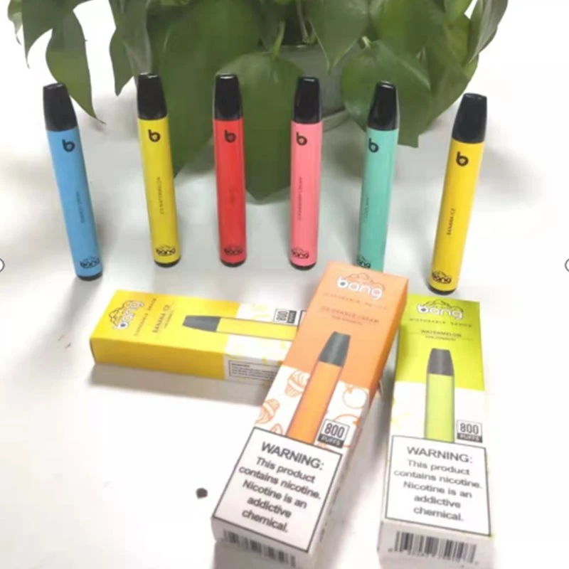 Bang Mini 800 Puffs einnota vape