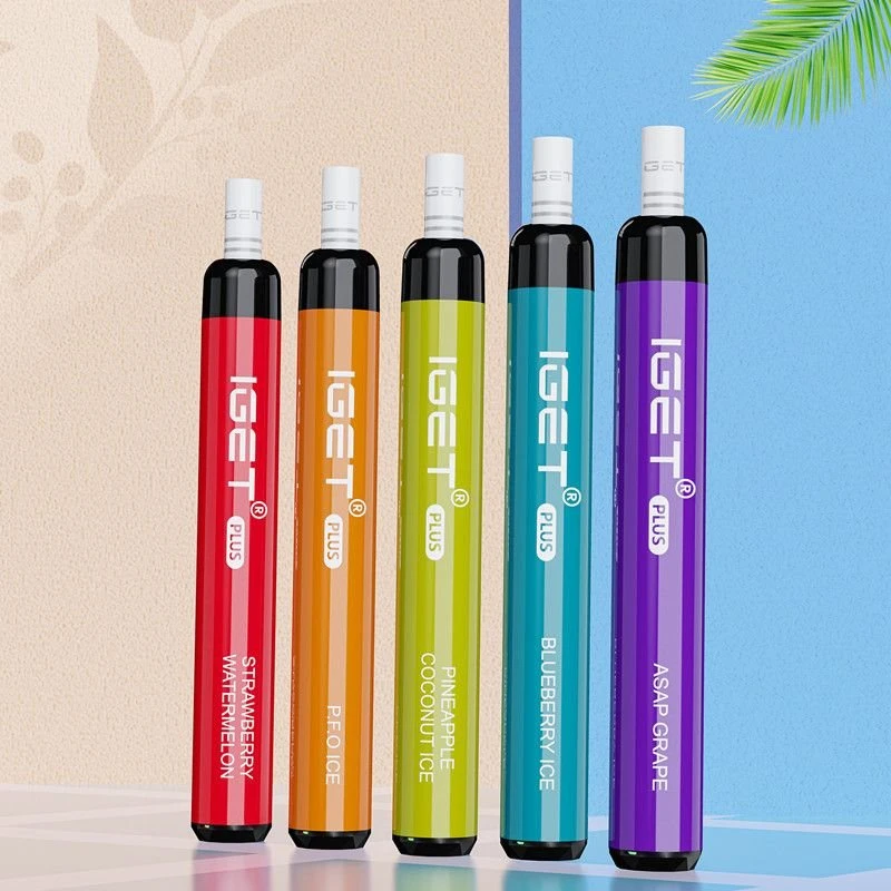 Iget Plus 1200 Puffs einnota vape