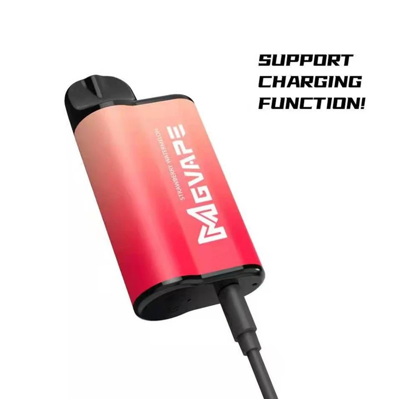 Mgvape 4000 Puffs Recharge Vape Box