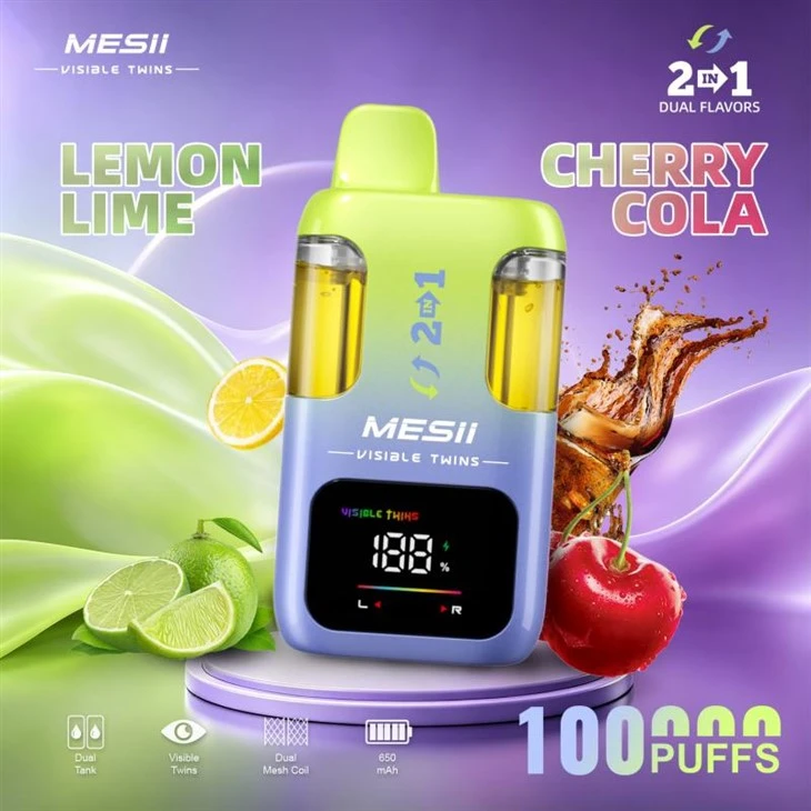 MESII SÝNIR Tvíburar 100K