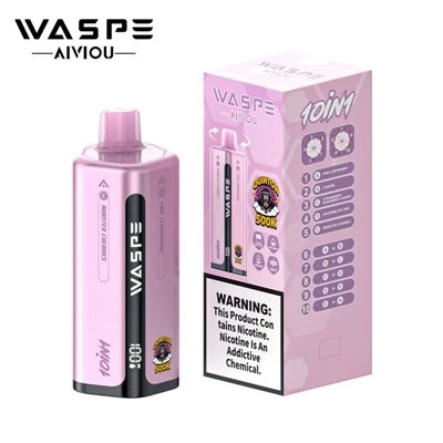 WASPE AIVIOU 10 í 1 Quinton 500K